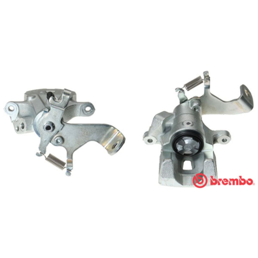 Jarrusatula 23-01340