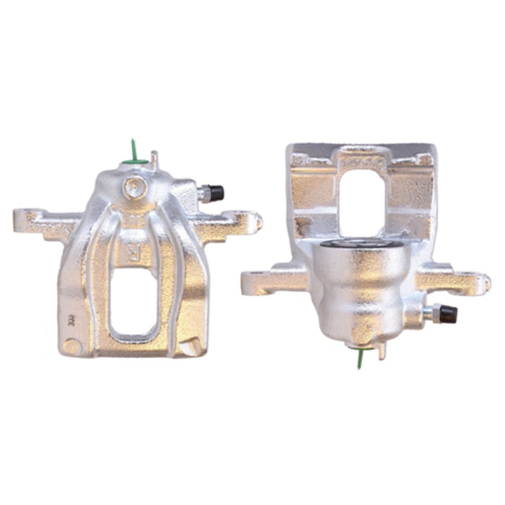 Jarrusatula 23-00230