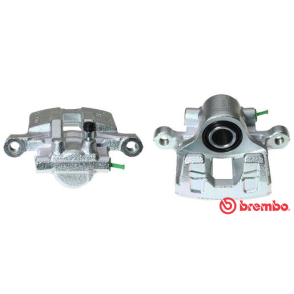 Jarrusatula 23-00414