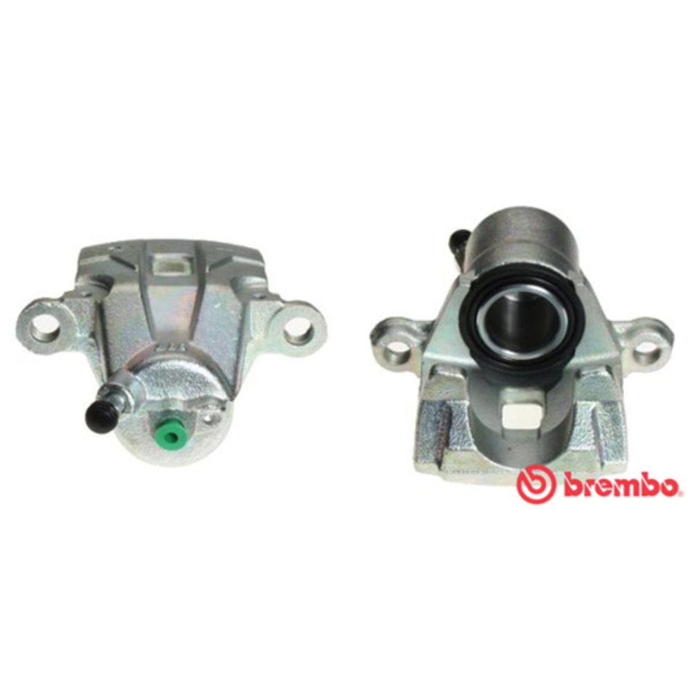 Jarrusatula 23-03237