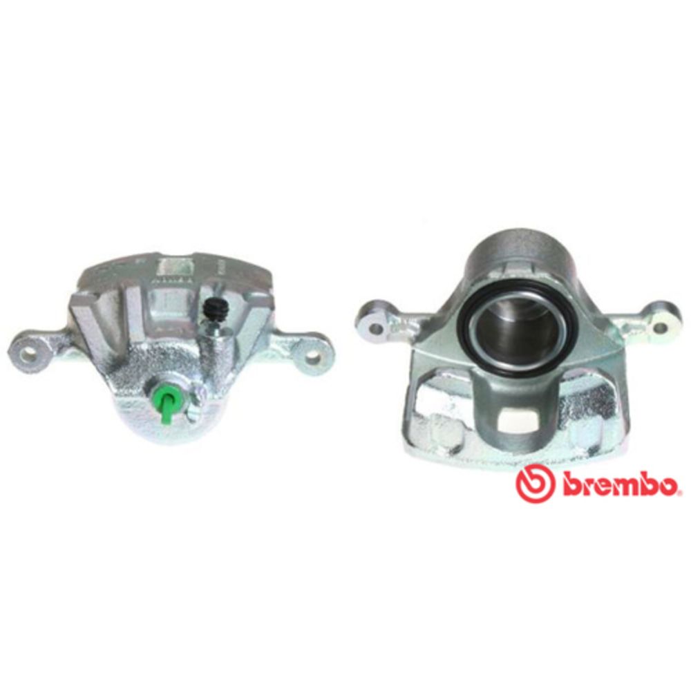 Jarrusatula 23-01896