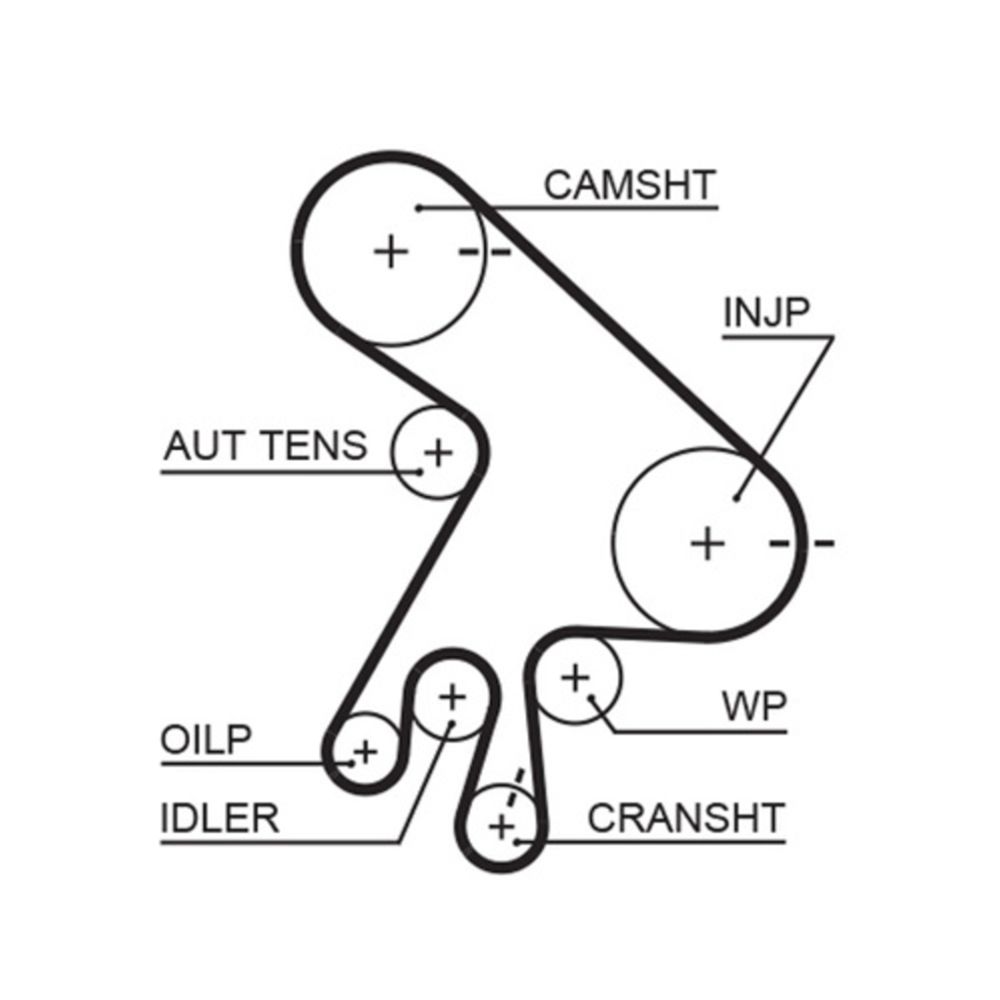 Vesipumppu + hammashihnasarja 25-9593