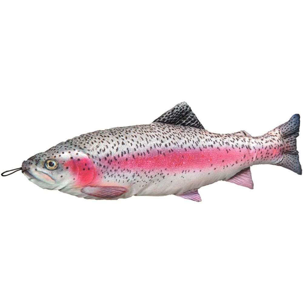 Fladen mjukisdjur