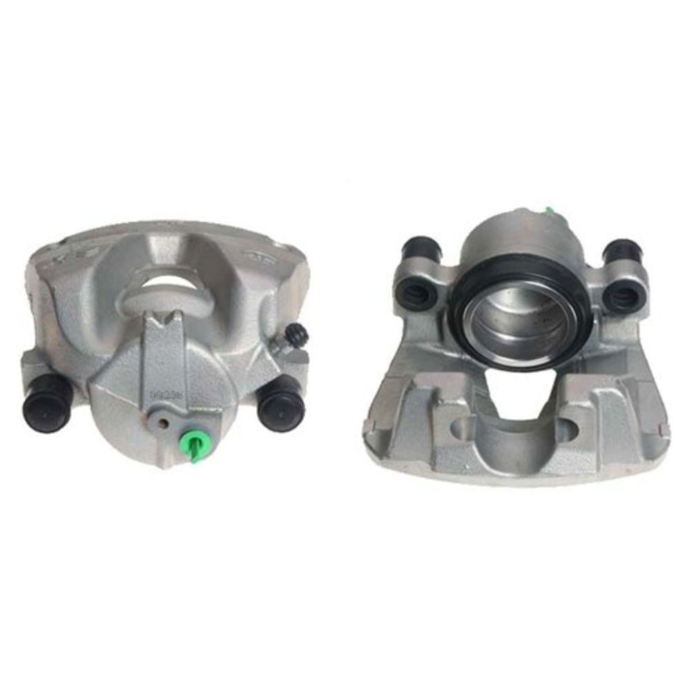 Jarrusatula 23-01862