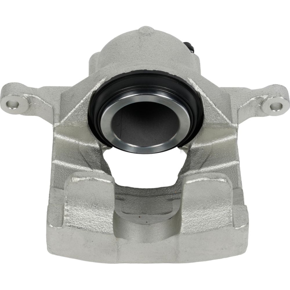 Jarrusatula 23-02678