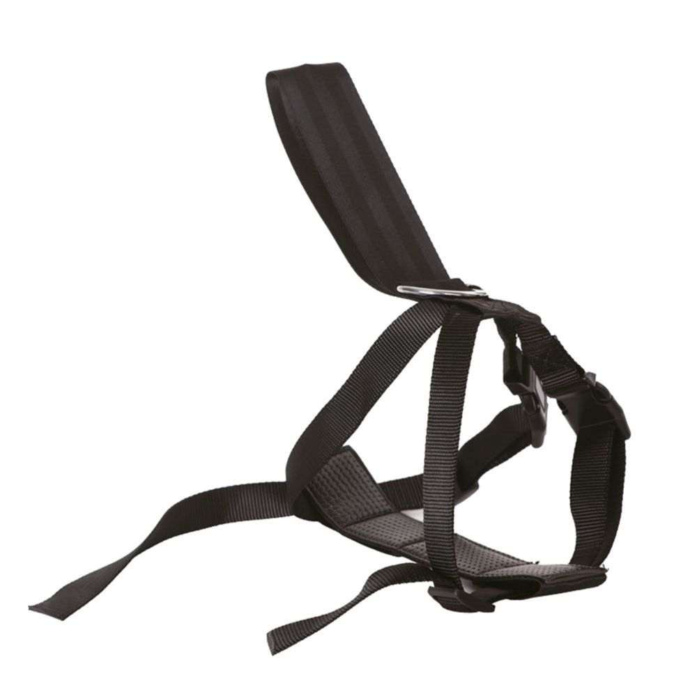 Pet Safe Turvavyövaljaat koiralle koko L