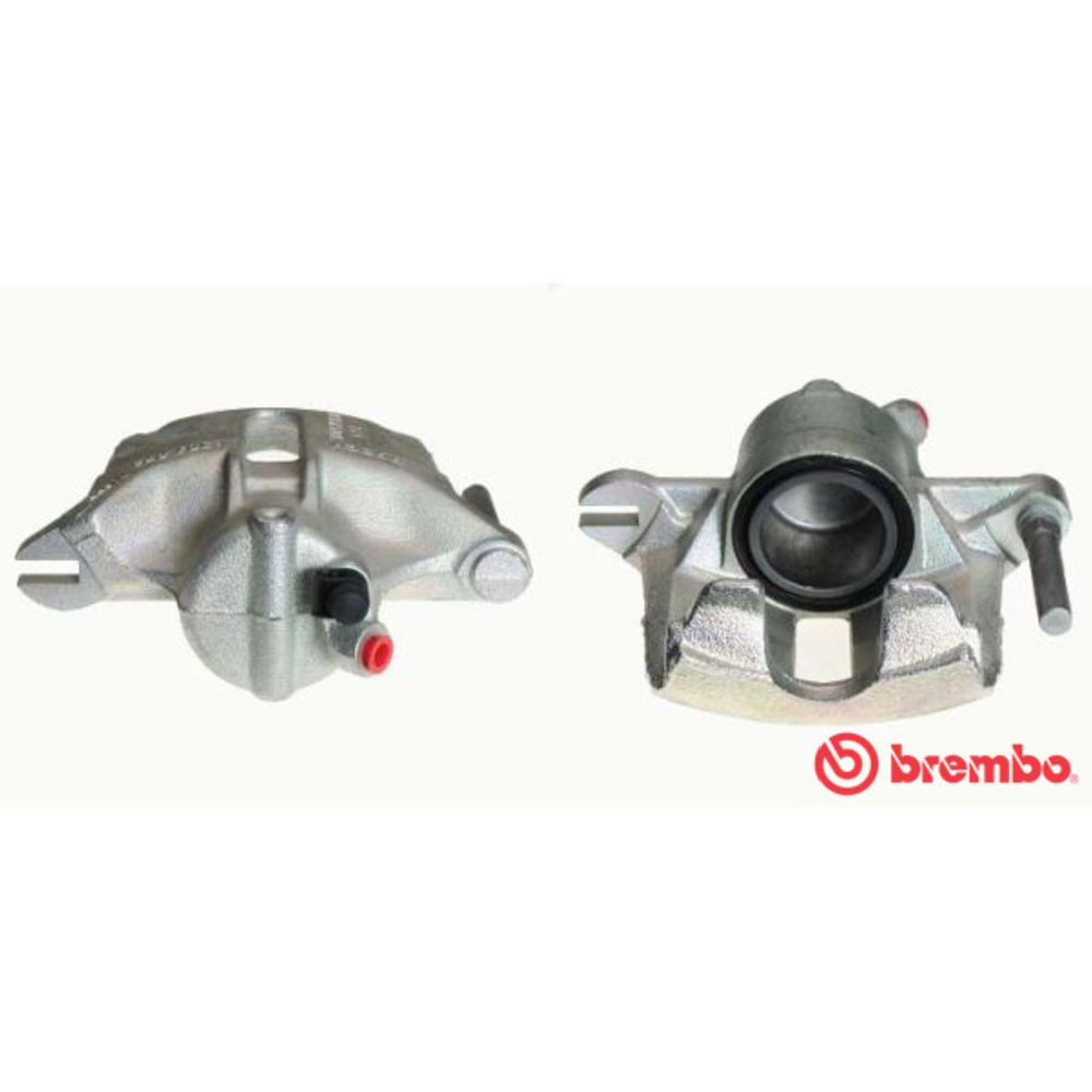 Jarrusatula 23-01574