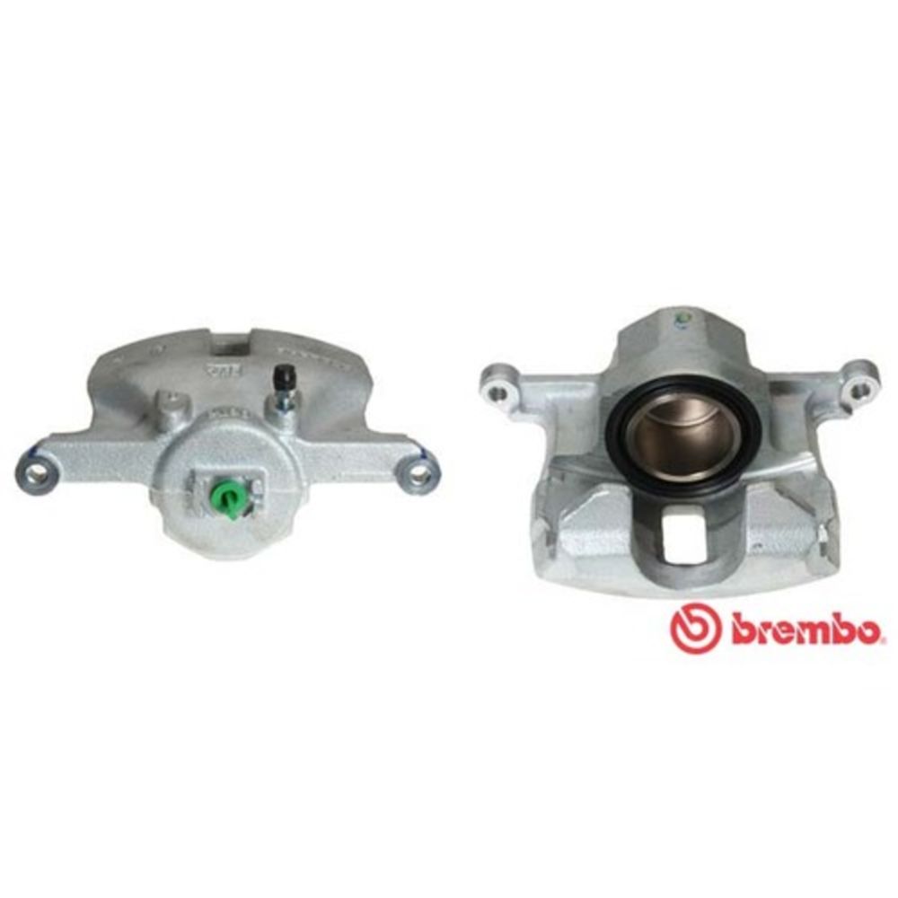 Jarrusatula 23-01241