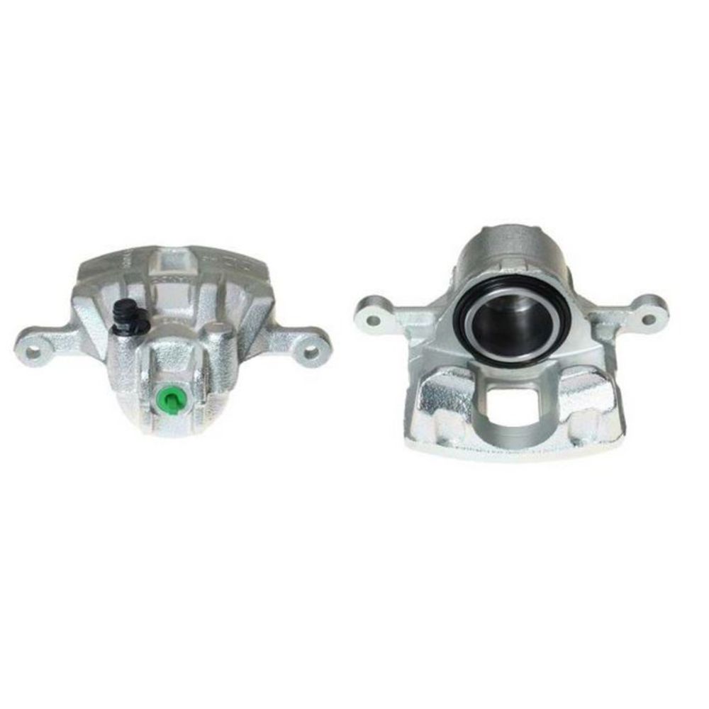 Jarrusatula 23-00412