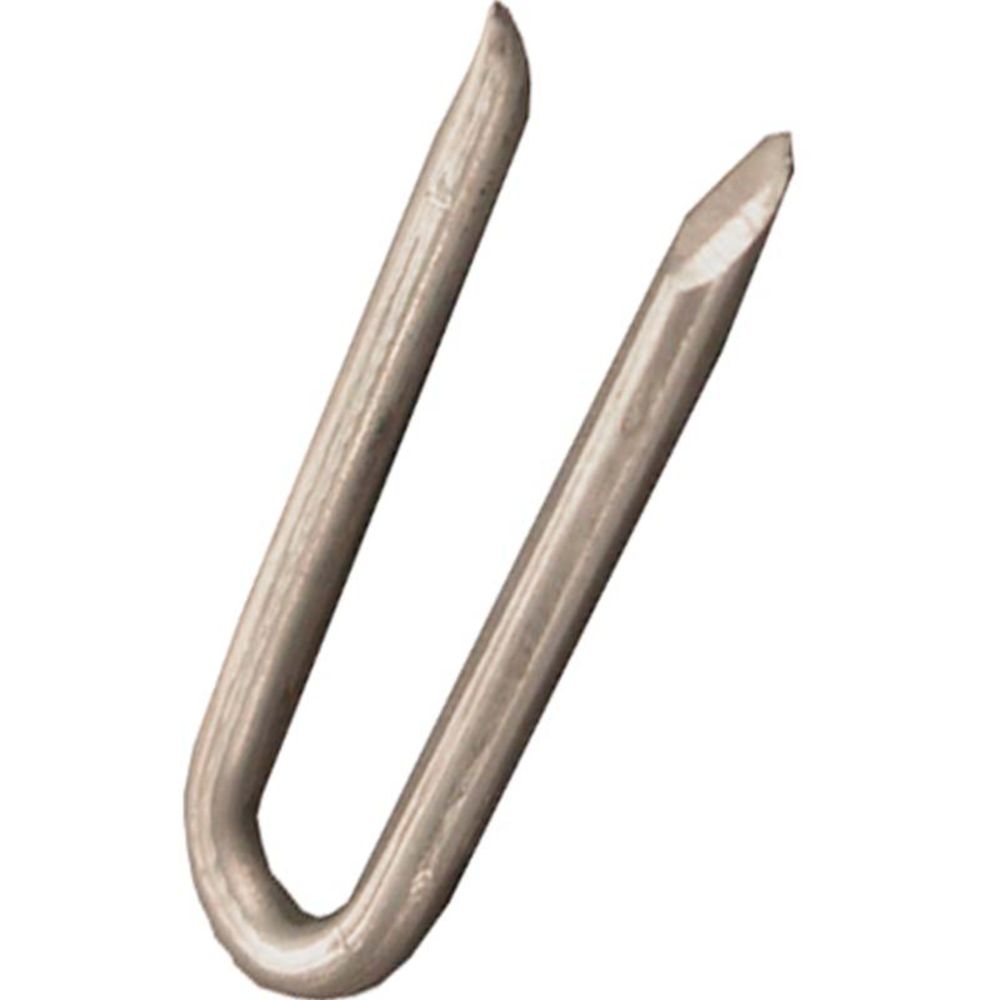 Pisla klamber 25 x 2,5 tsingitud 50 tk