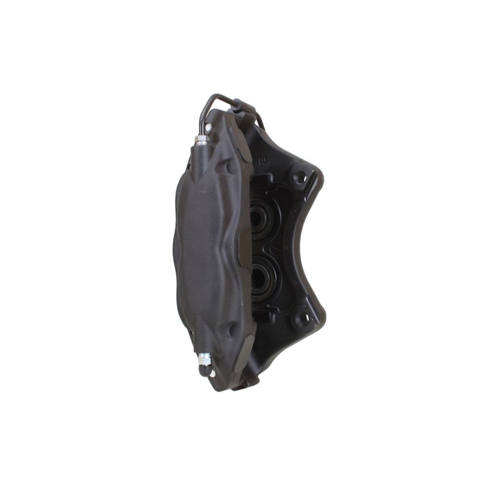 Jarrusatula 23-02287