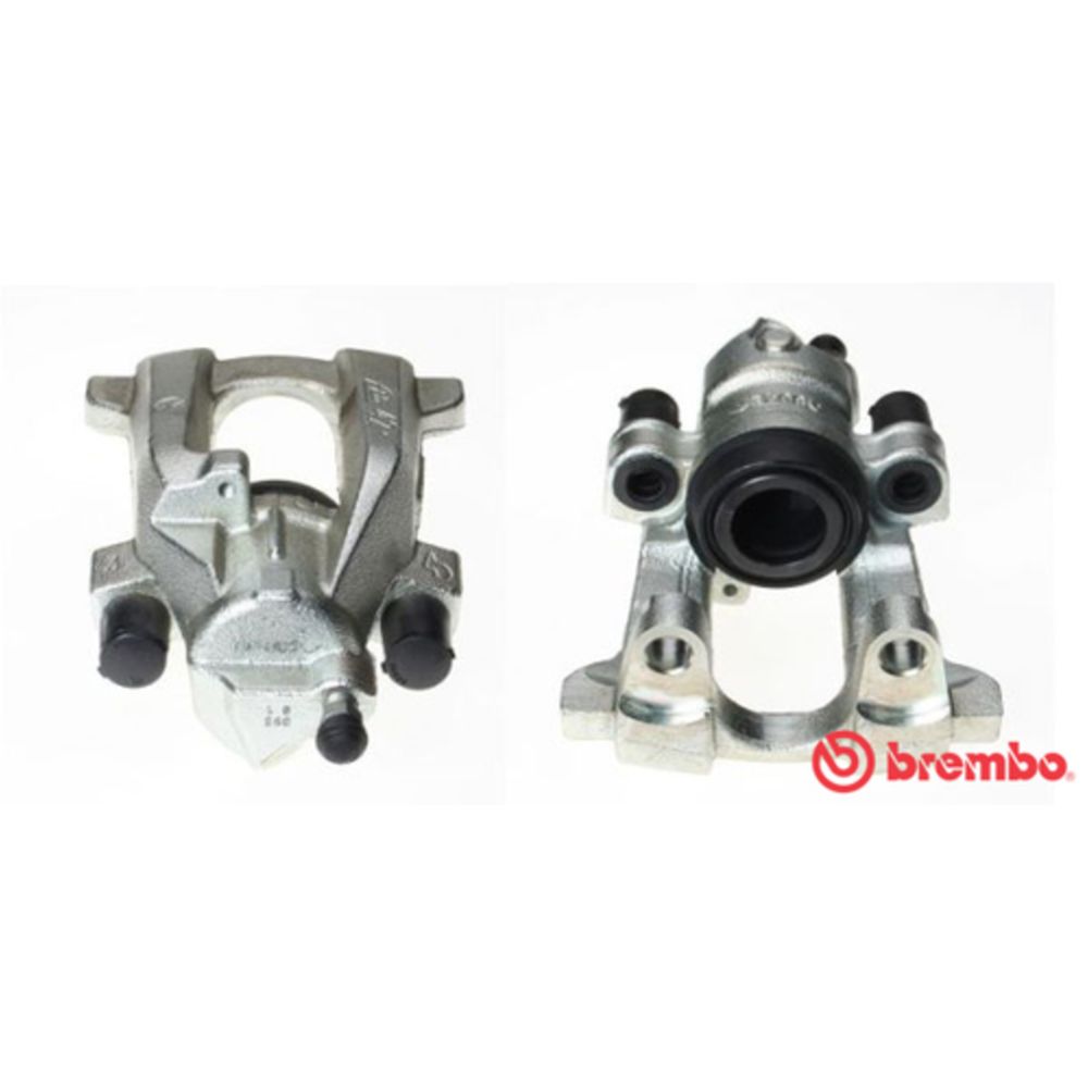 Jarrusatula 23-01160