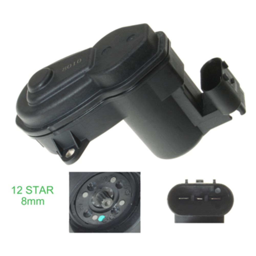 Jarrusatula 23-00278