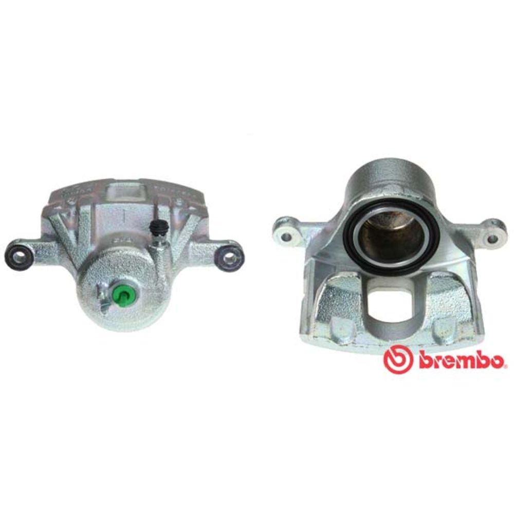 Jarrusatula 23-00472