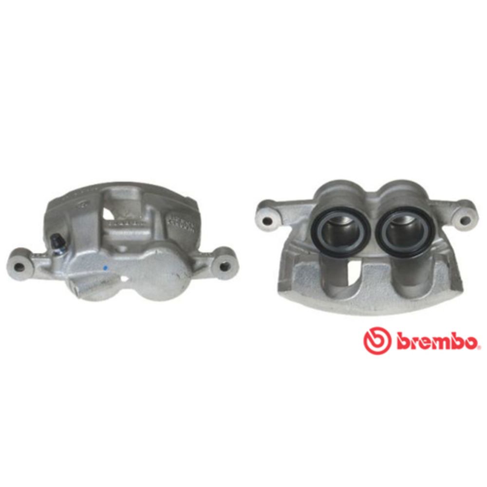 Jarrusatula 23-01225