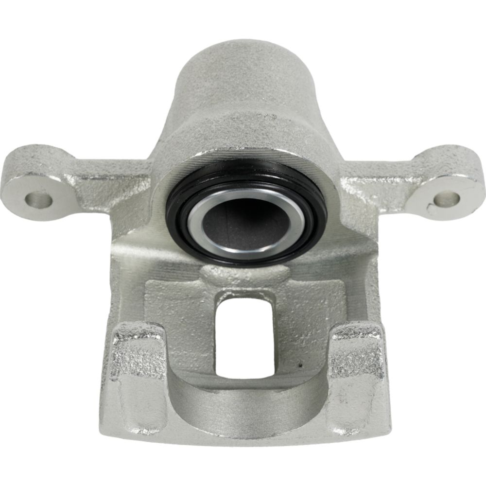 Jarrusatula 23-02705