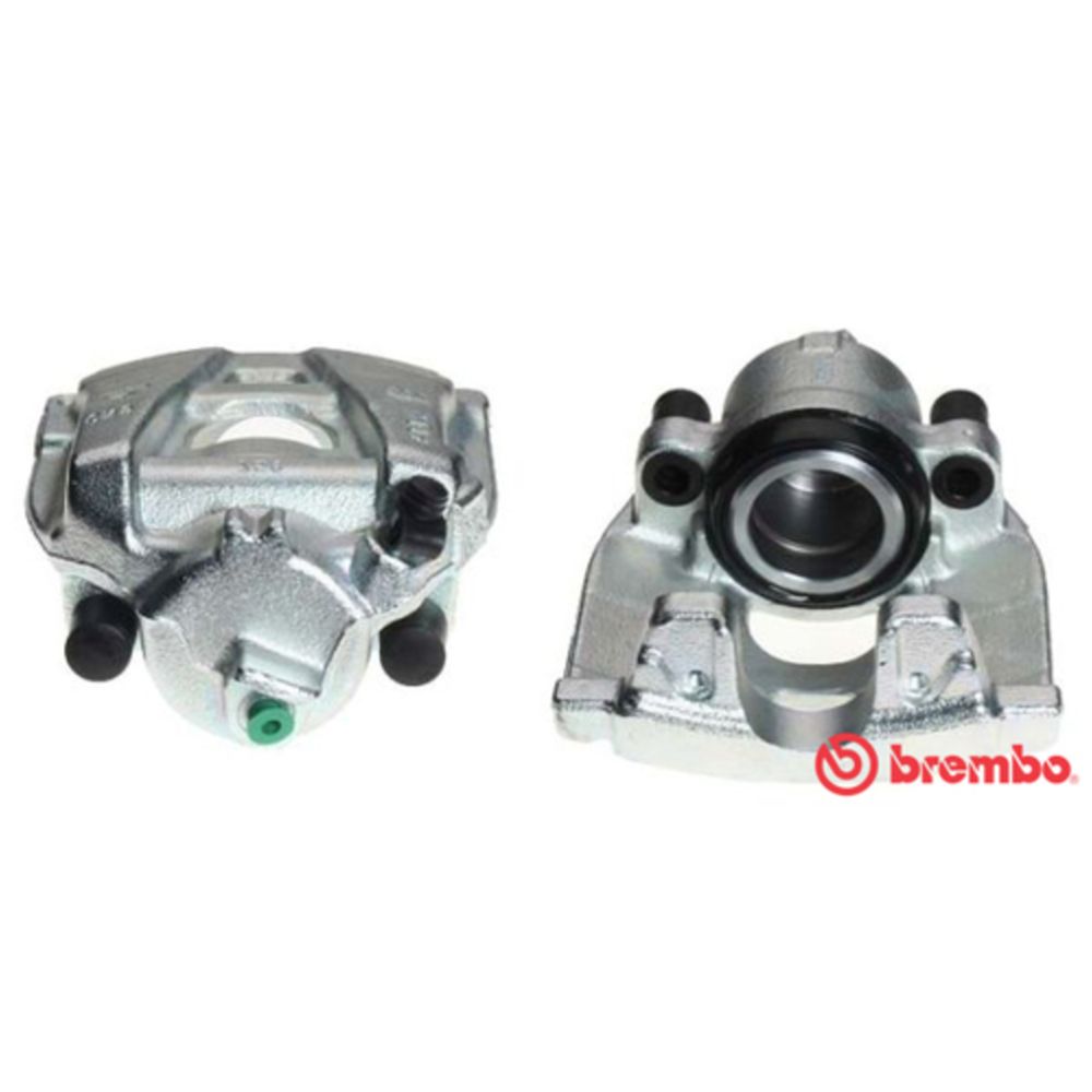 Jarrusatula 23-00114