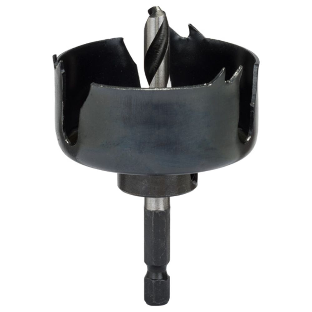 Bosch augusaag puidule 54 mm