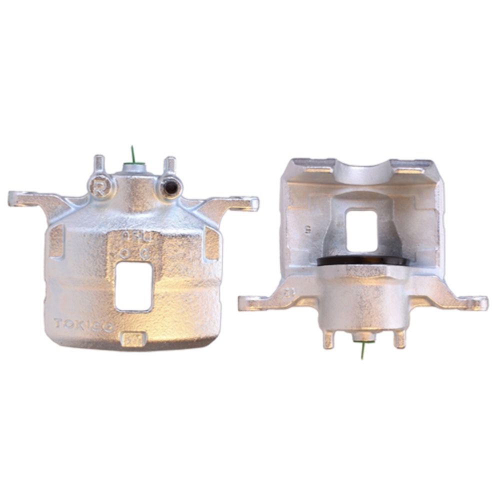 Jarrusatula 23-00572