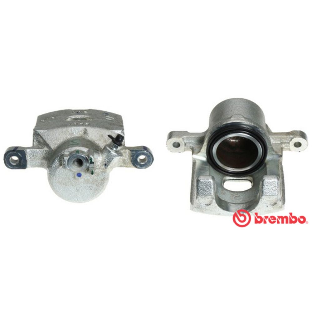 Jarrusatula 23-00534