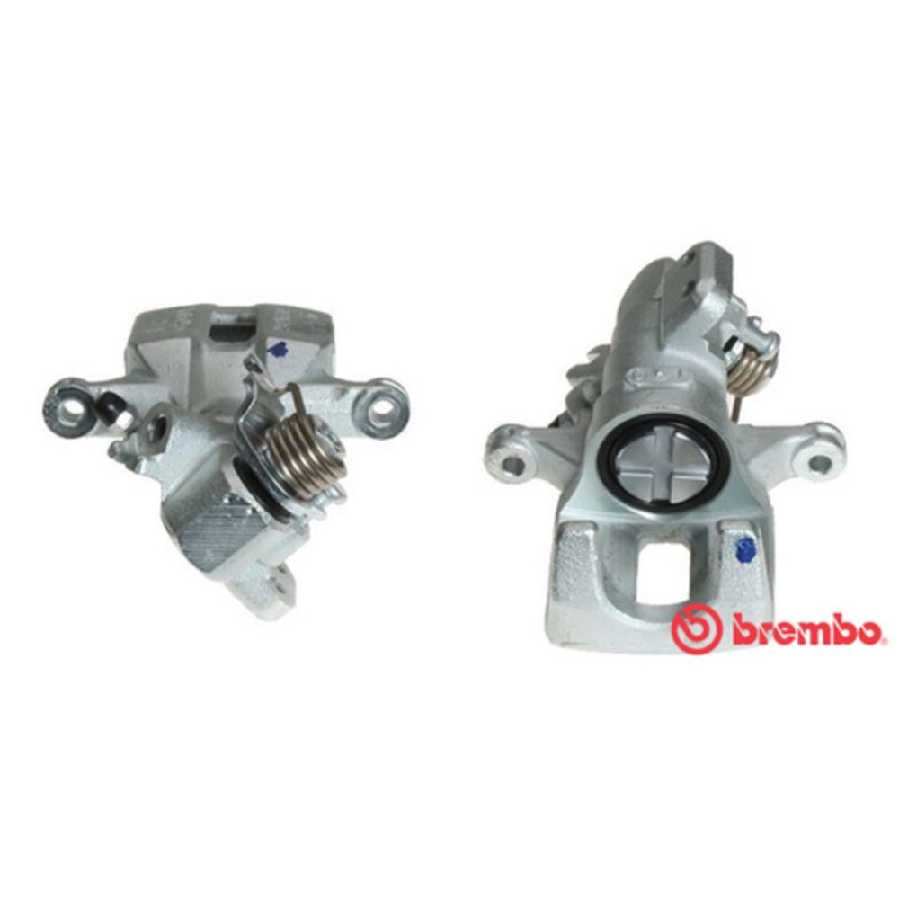 Jarrusatula 23-00453