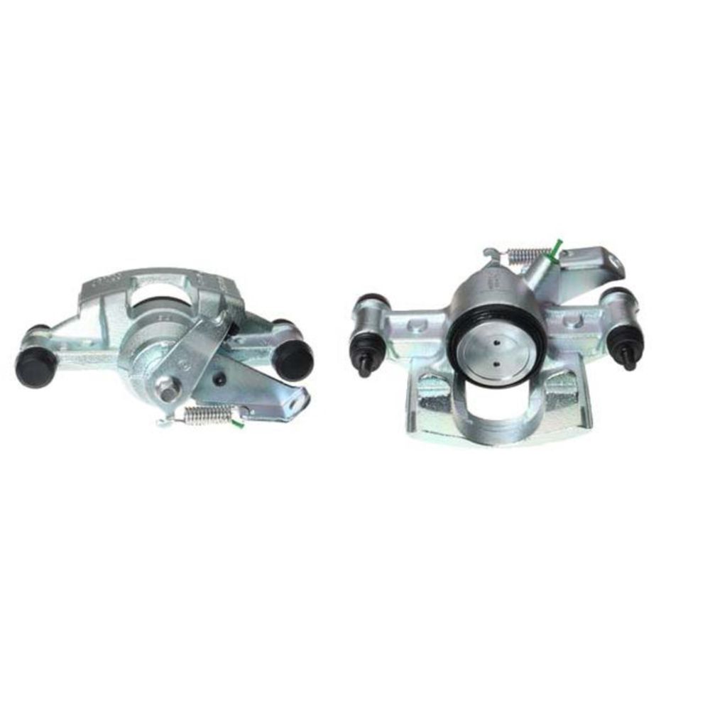 Jarrusatula 23-00402