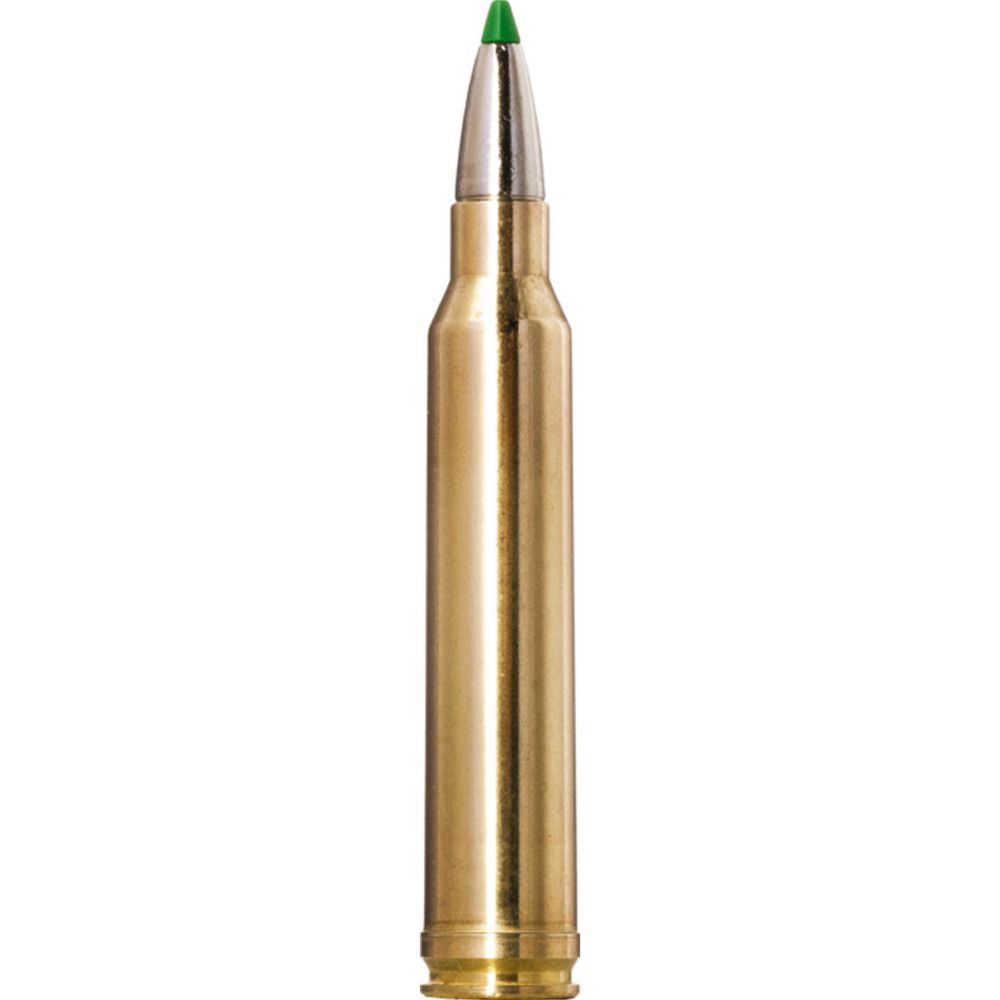 NORMA CTG 300 WIN MAG ECOSTRIKE 10.7G/165GR 20st