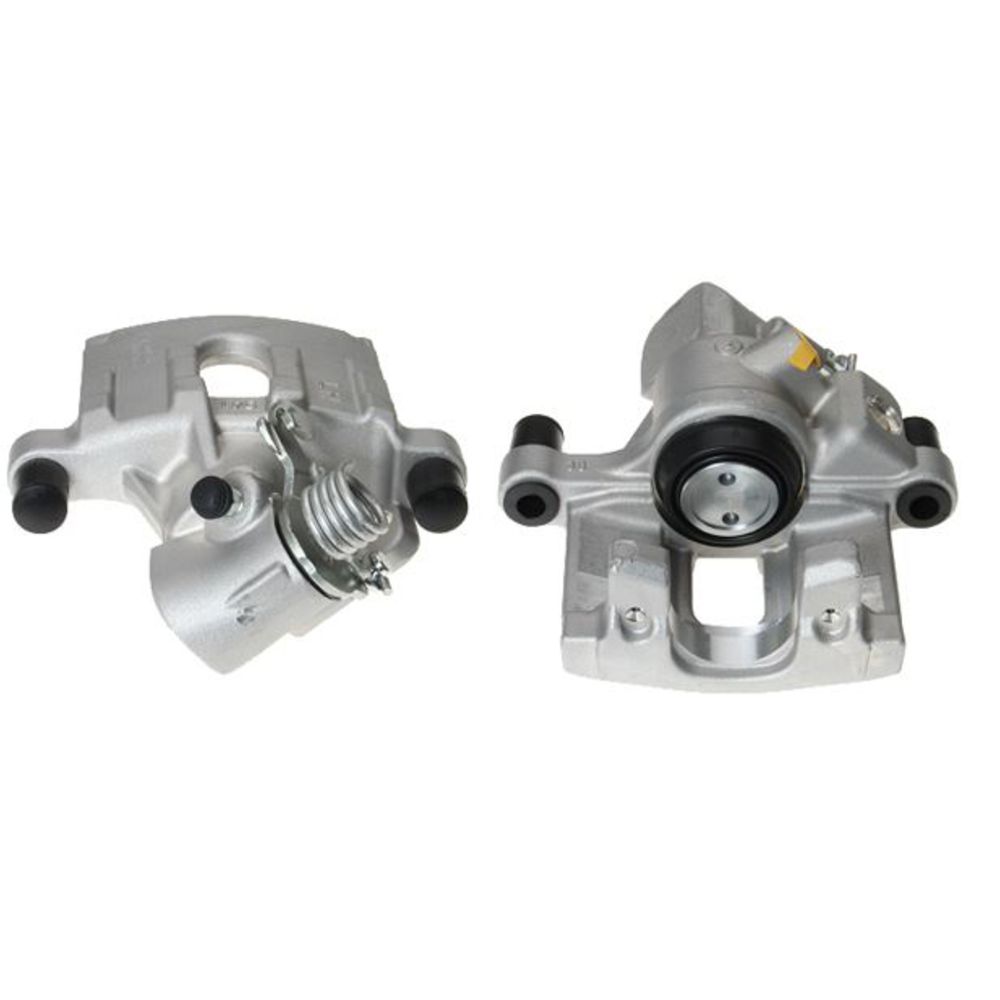 Jarrusatula 23-00115