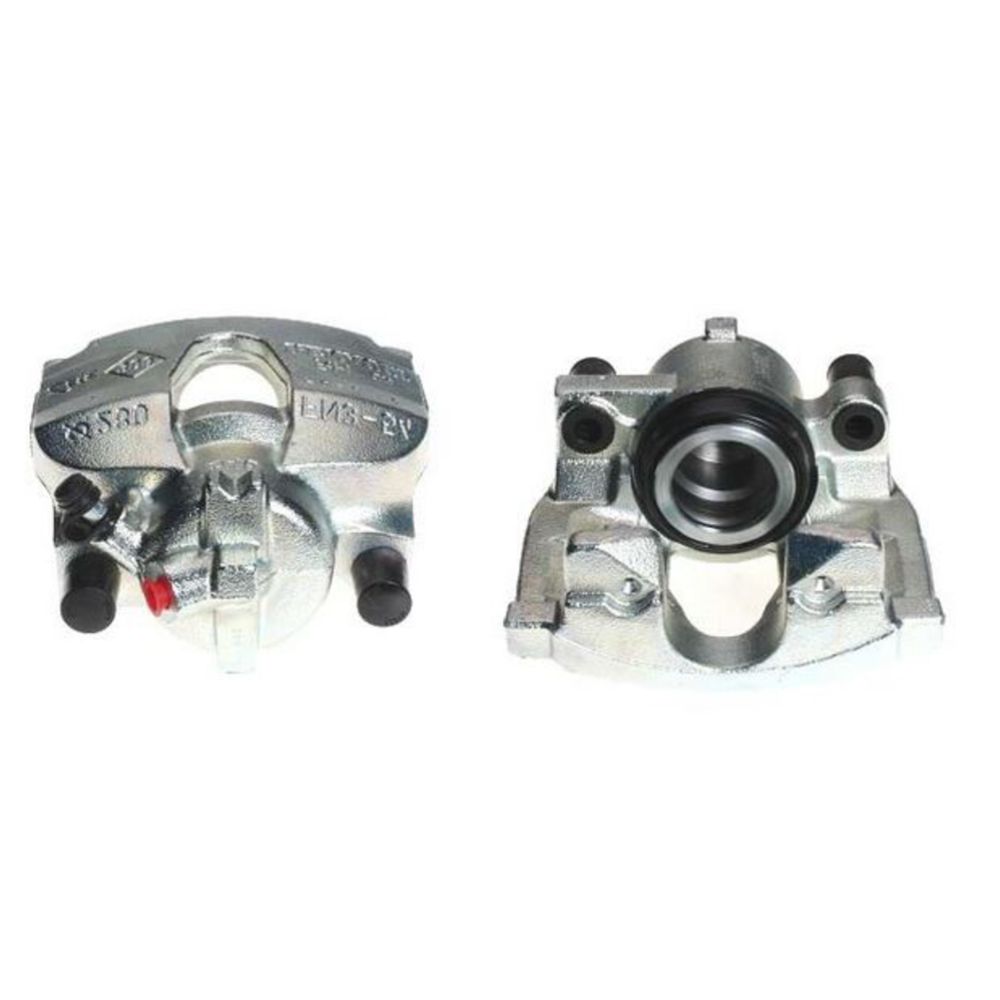 Jarrusatula 23-00313