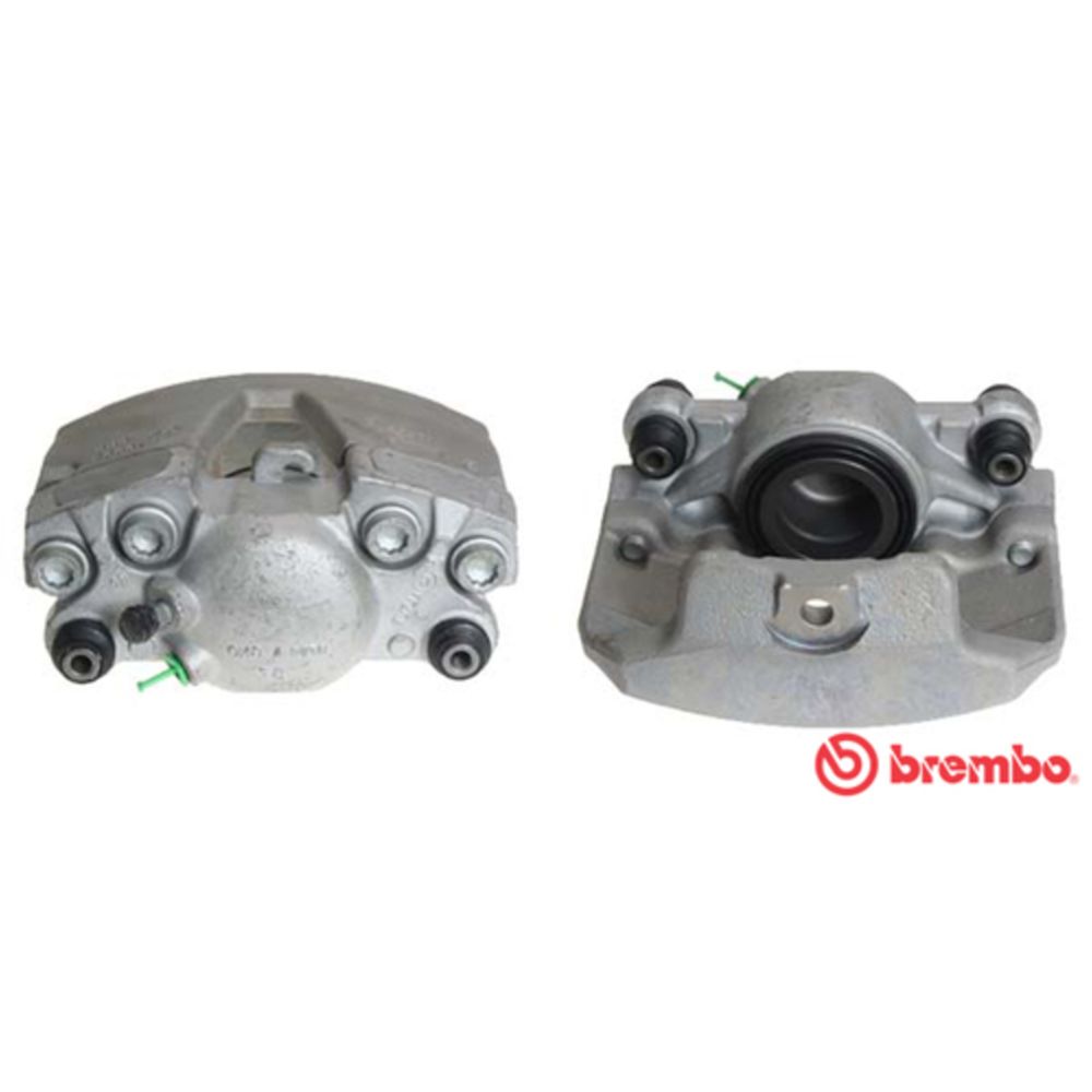 Jarrusatula 23-01002