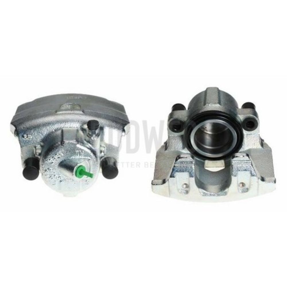 Jarrusatula 23-00883