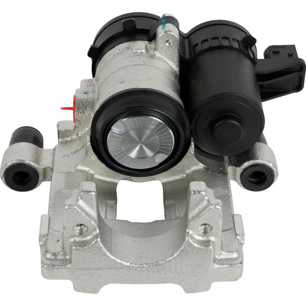 Jarrusatula 23-02777