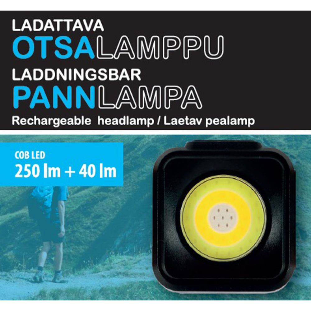 Berg LED-pannlampa uppladdningsbar 250 lm