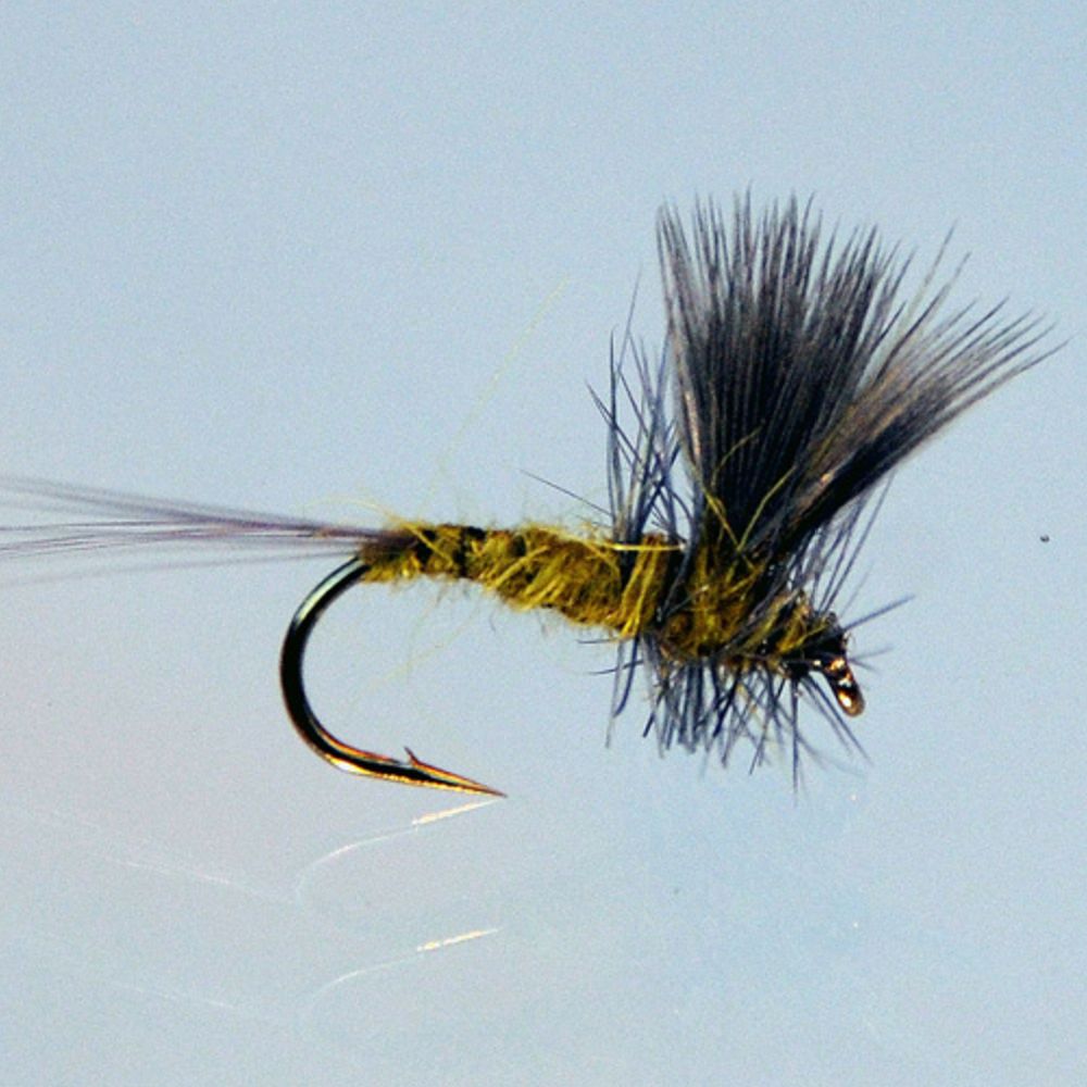 MTX Fishing Dries I pintaperholajitelma koko 8 kpl