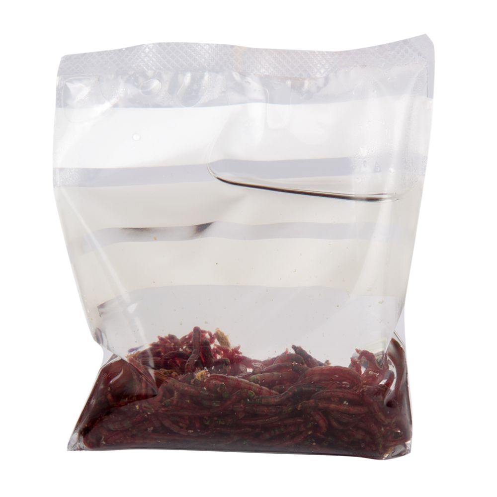 MTX Fishing XL surviaisen toukka 10 g