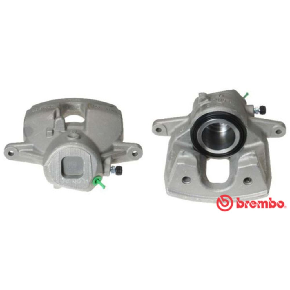 Jarrusatula 23-01376