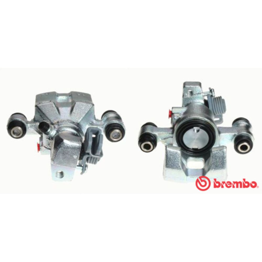 Jarrusatula 23-02943