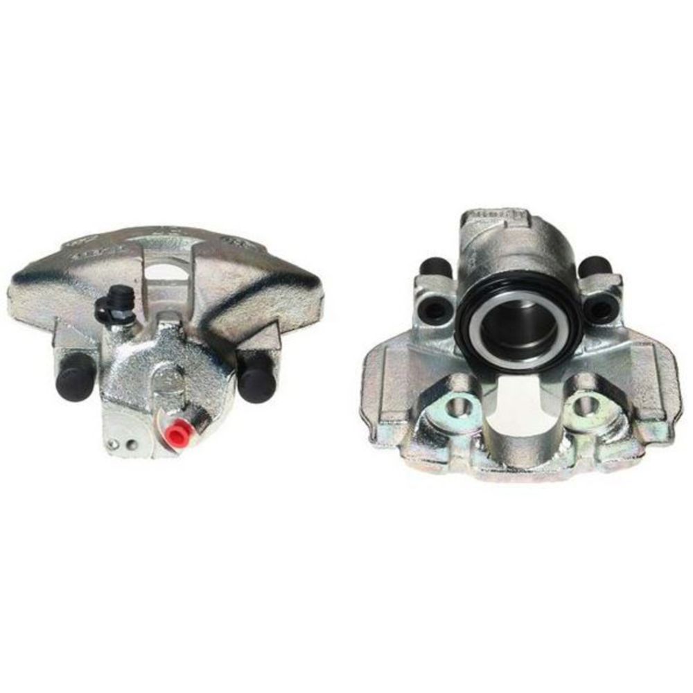 Jarrusatula 23-00061