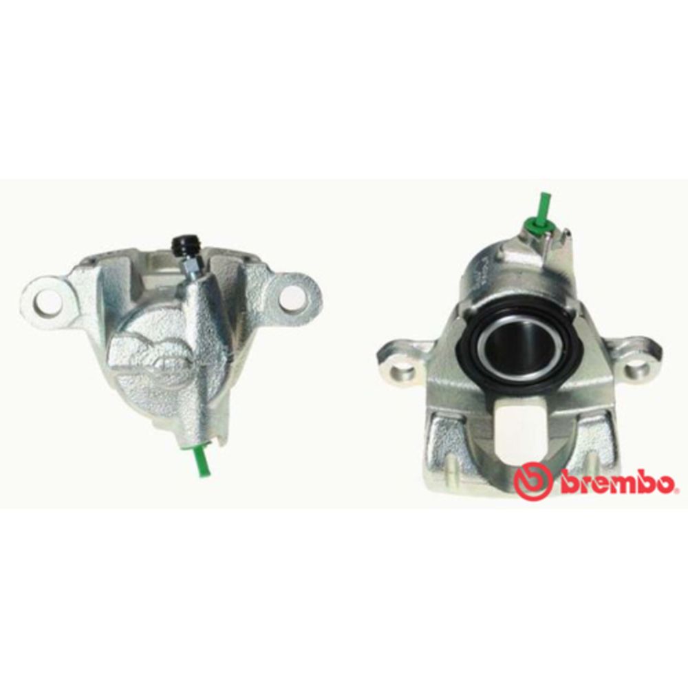 Jarrusatula 23-02283