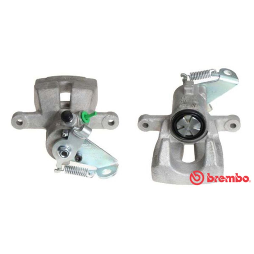 Jarrusatula 23-02275