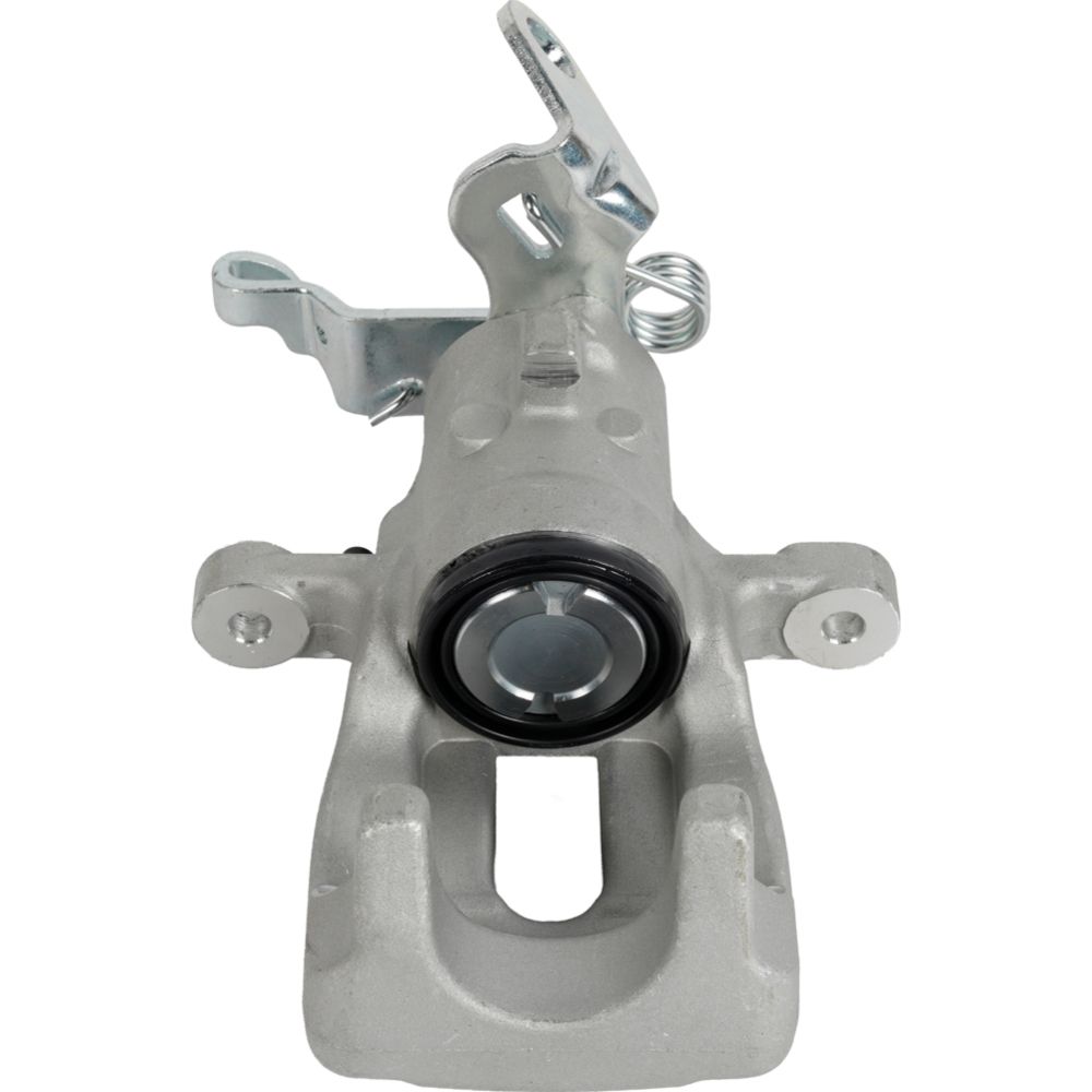 Jarrusatula 23-02665