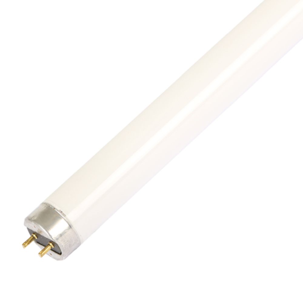 Airam T8 luminofoorlamp G13 58 W 3500 K 5200 lm 1500 mm