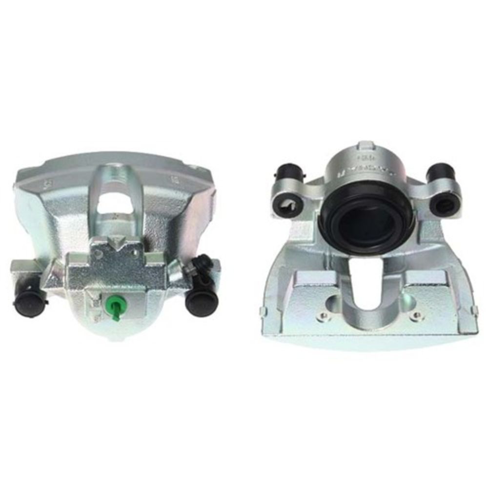 Jarrusatula 23-01499