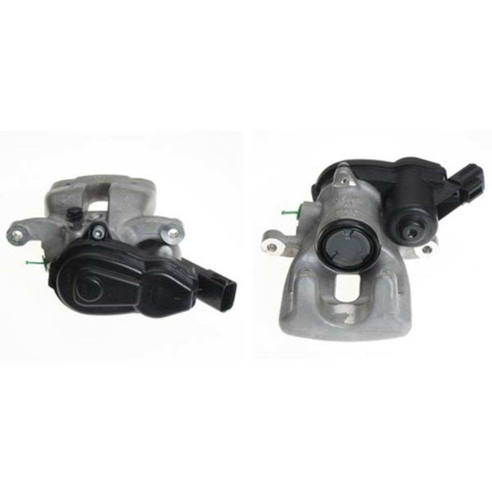 Jarrusatula 23-00950