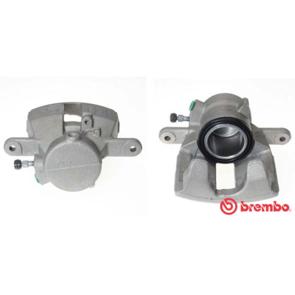Jarrusatula 23-01321