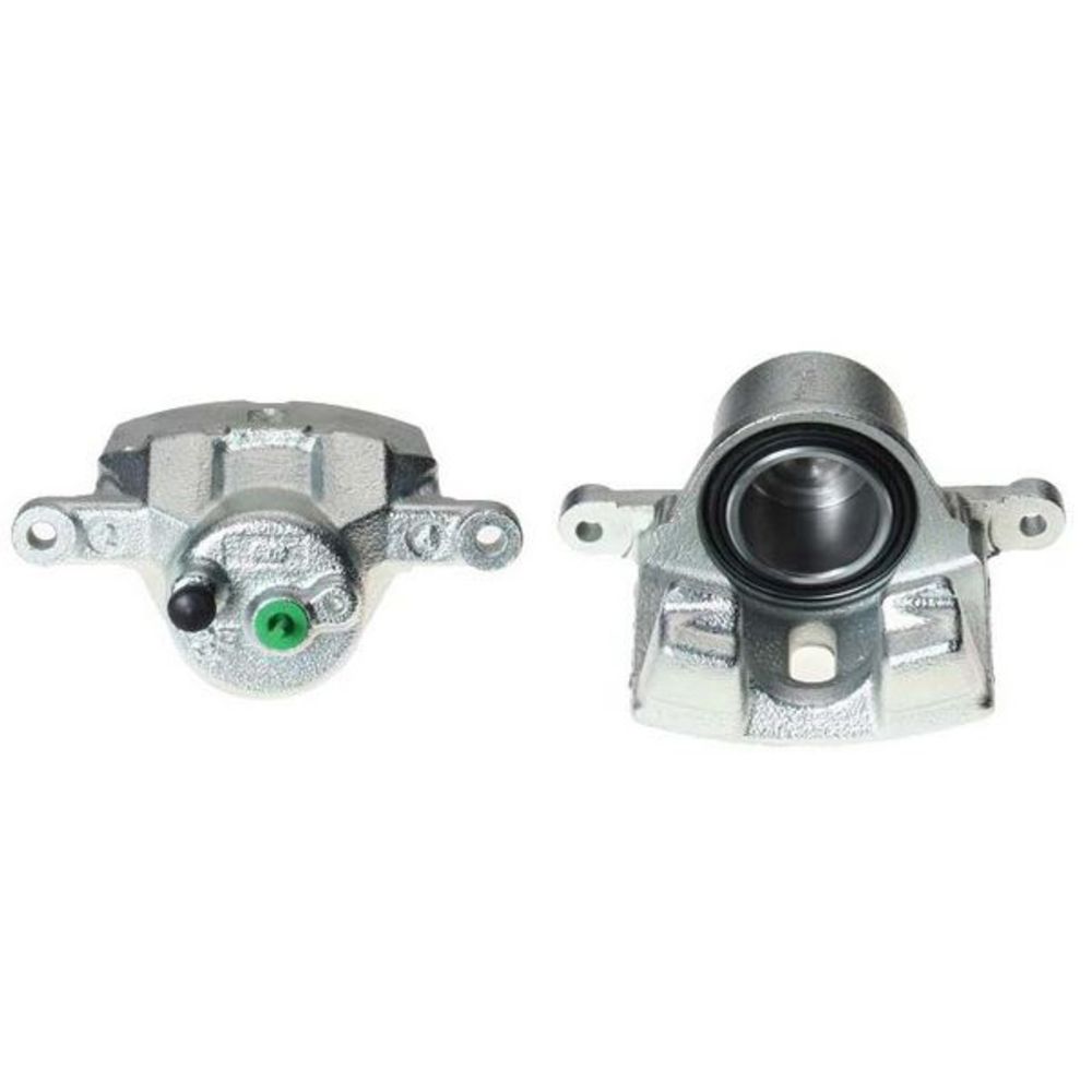 Jarrusatula 23-00157