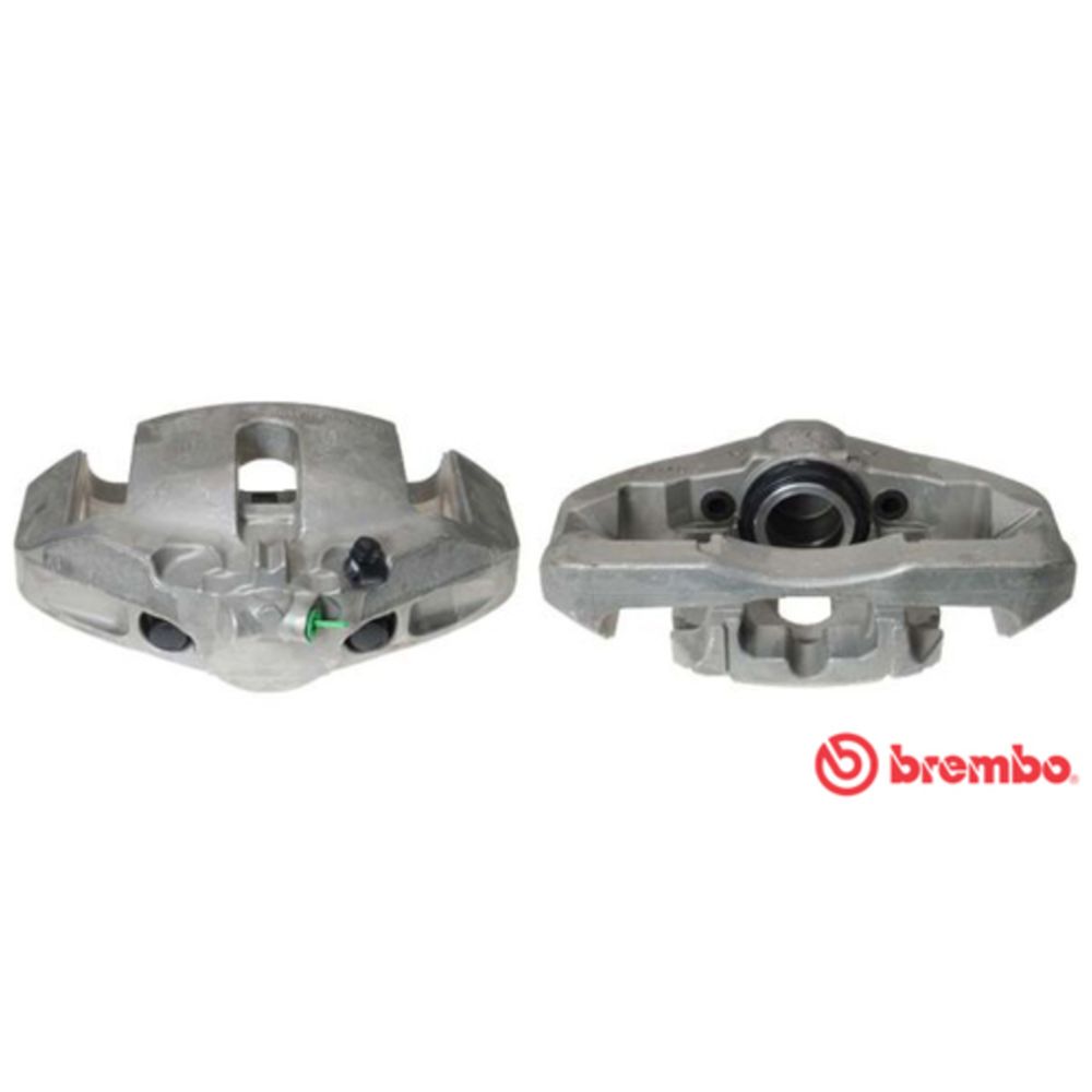 Jarrusatula 23-01050