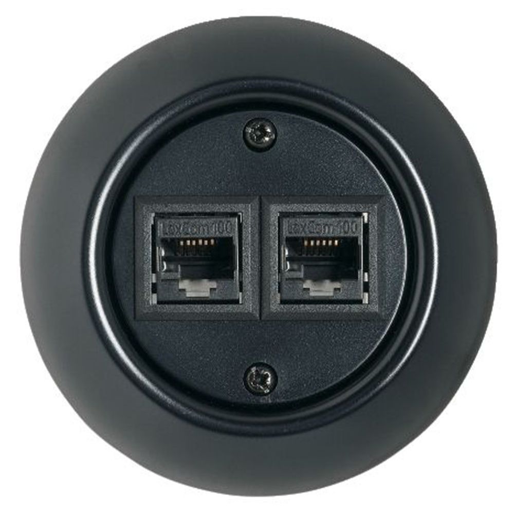 Schneider Electric Renova 2XRJ45 datauttag svart