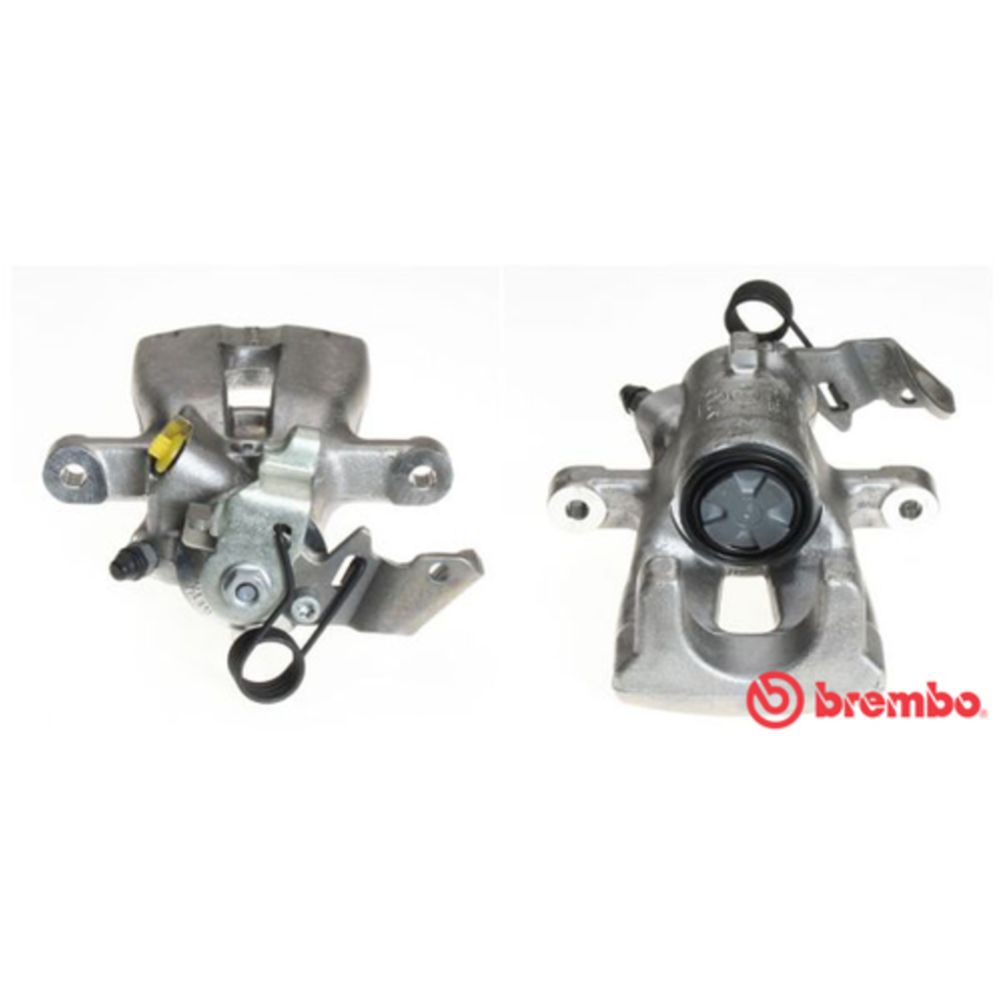 Jarrusatula 77-39514