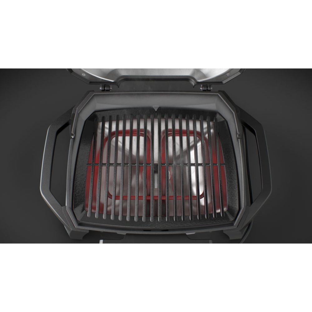 Weber Pulse 1000